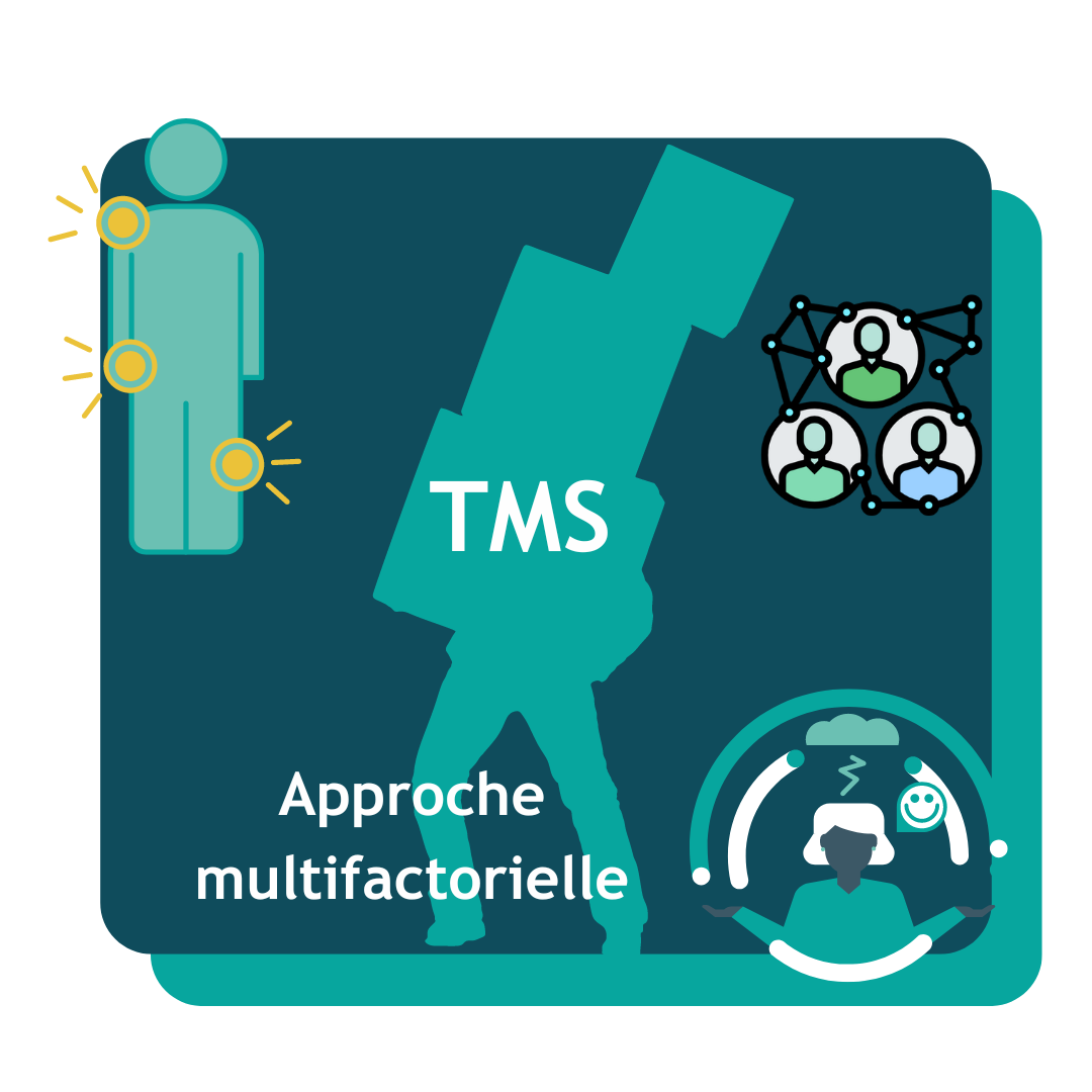 TMS